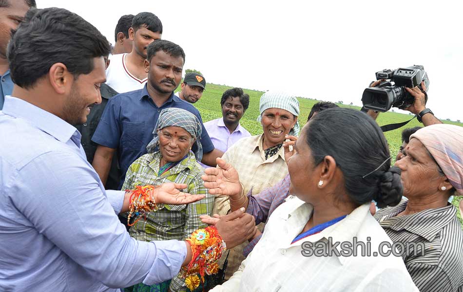 YS Jagan Tour in Nandyala - Sakshi4