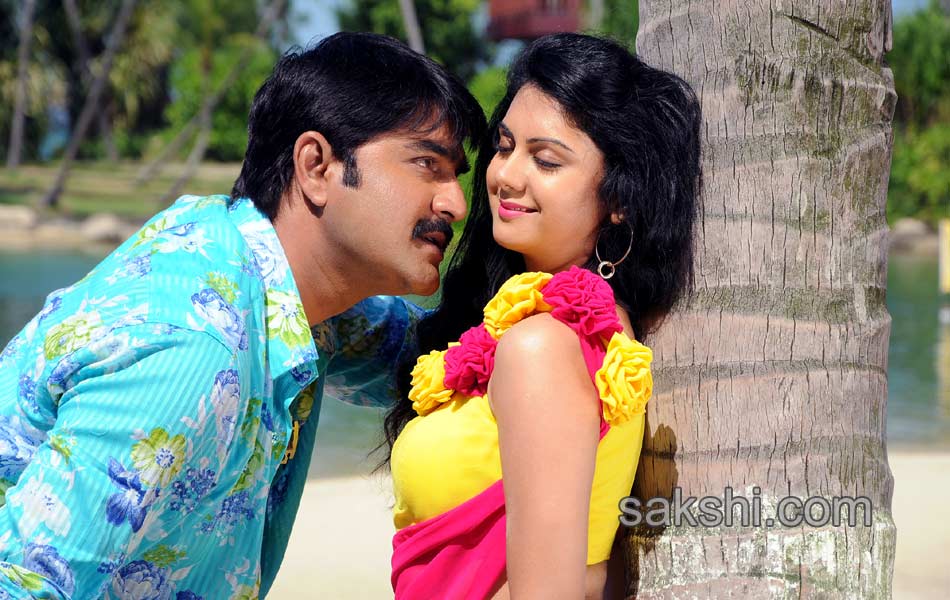 Veediki Dookudu Ekkuva Movie Stills13