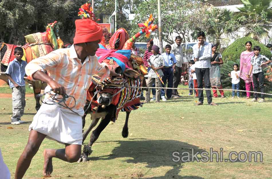 sankranti festival11