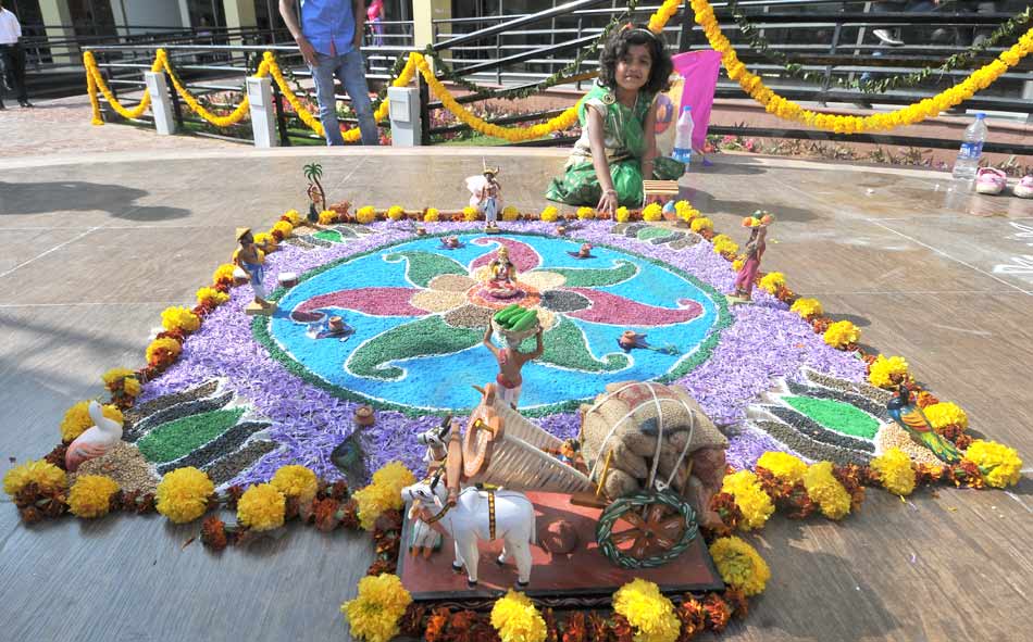 sankranti festival13