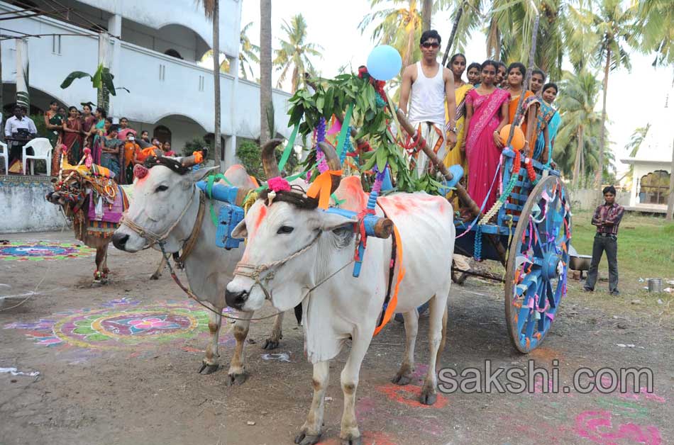 sankranti festival18