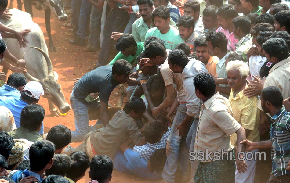 2014 Alanganallur Jallikattu - Sakshi28