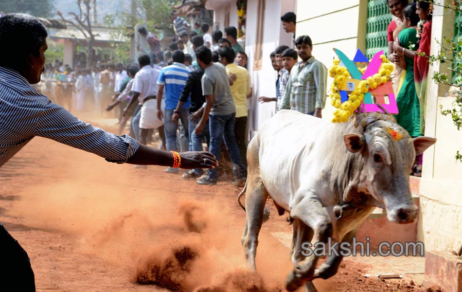 2014 Alanganallur Jallikattu - Sakshi41