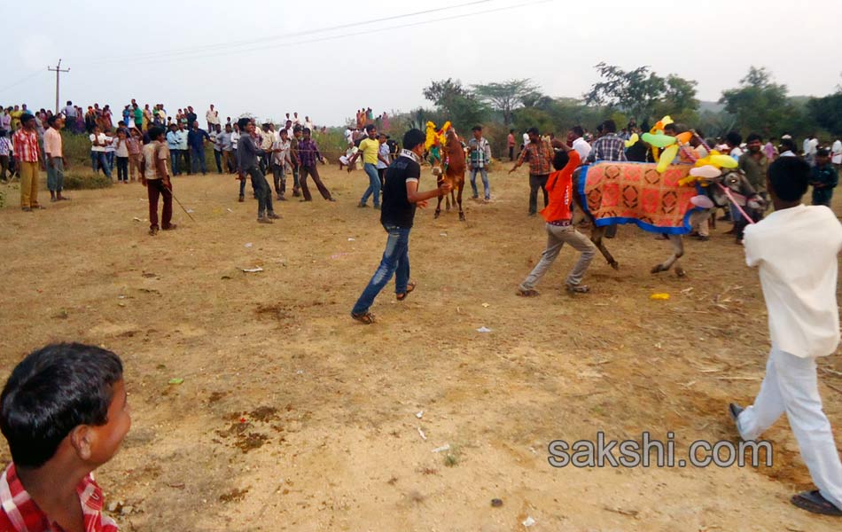 2014 Alanganallur Jallikattu - Sakshi56