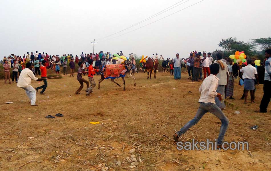 2014 Alanganallur Jallikattu - Sakshi57