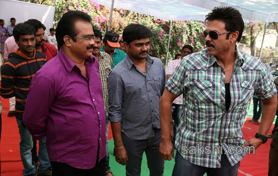 venkatesh radha movie opening5