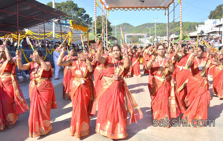 tirumala rathasapthami - Sakshi19