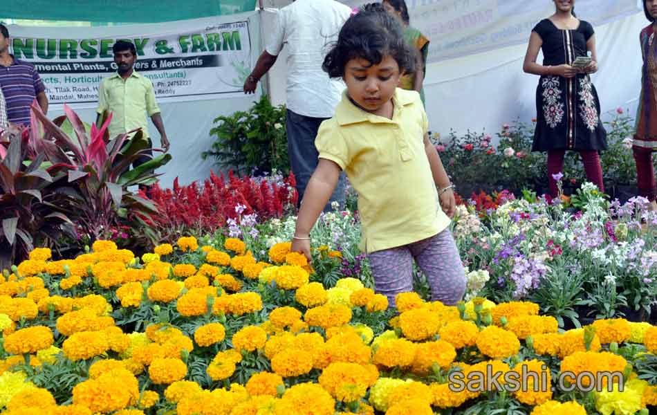 plants mela in nizam collage5