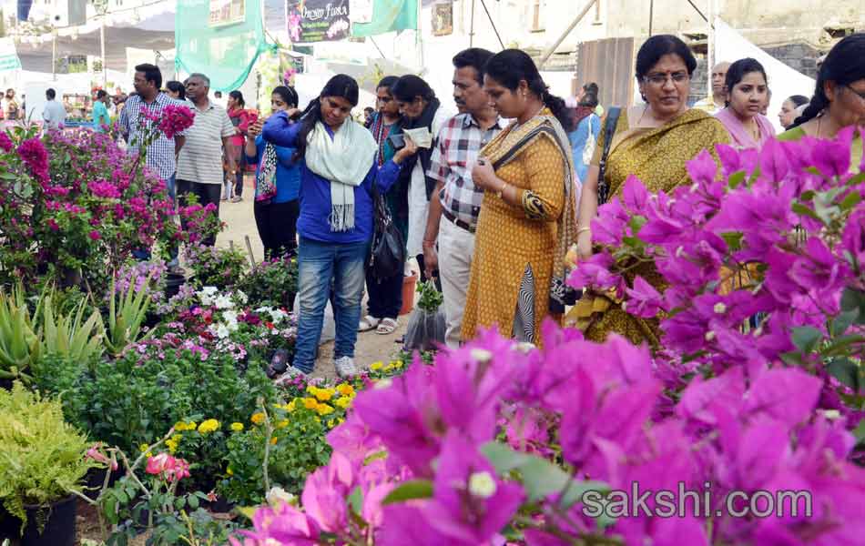 plants mela in nizam collage9