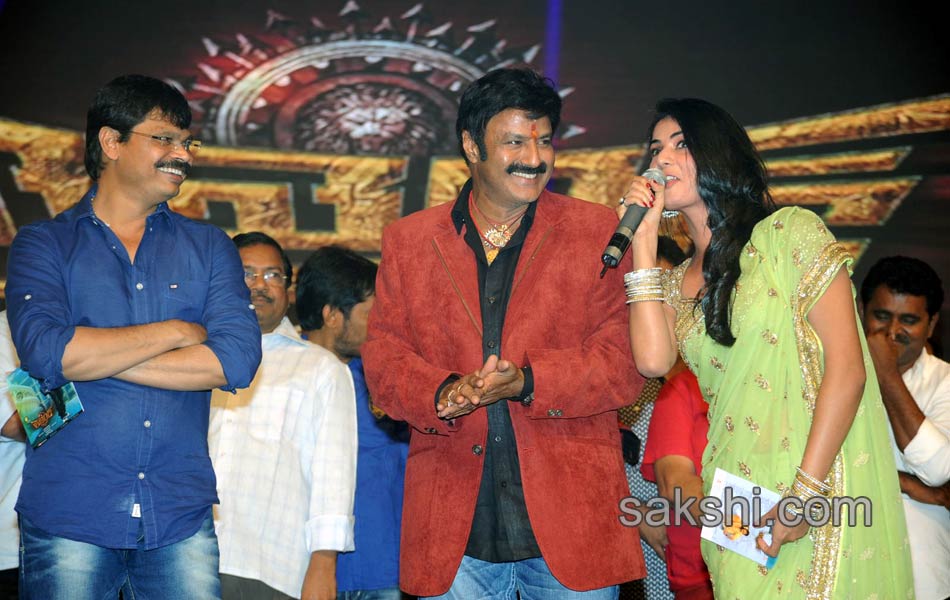 Legend movie audio launch - Sakshi30