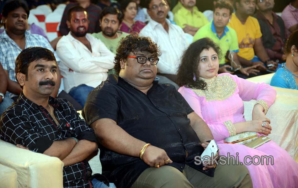 Laddu Babu Movie Audio Function - Sakshi14