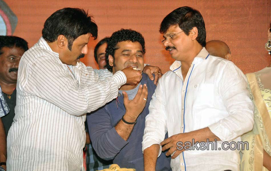 Legend movie success meet - Sakshi57