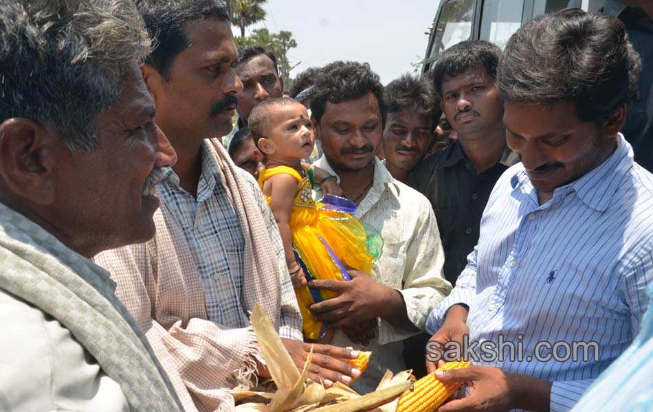 Jagan s Janapatham at Guntur District - Sakshi2