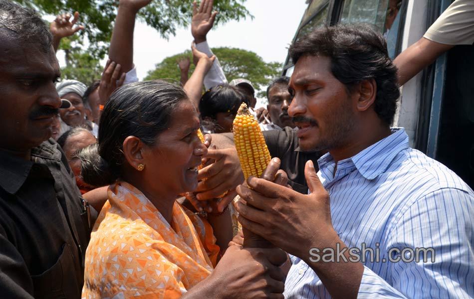 Jagan s Janapatham at Guntur District - Sakshi13