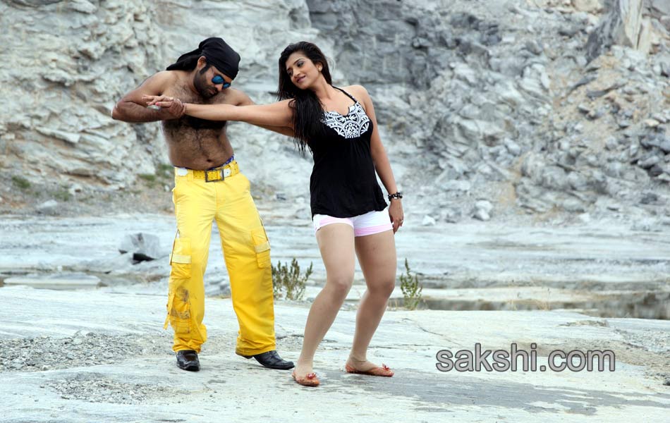 Fire Telugu Movie Stills2