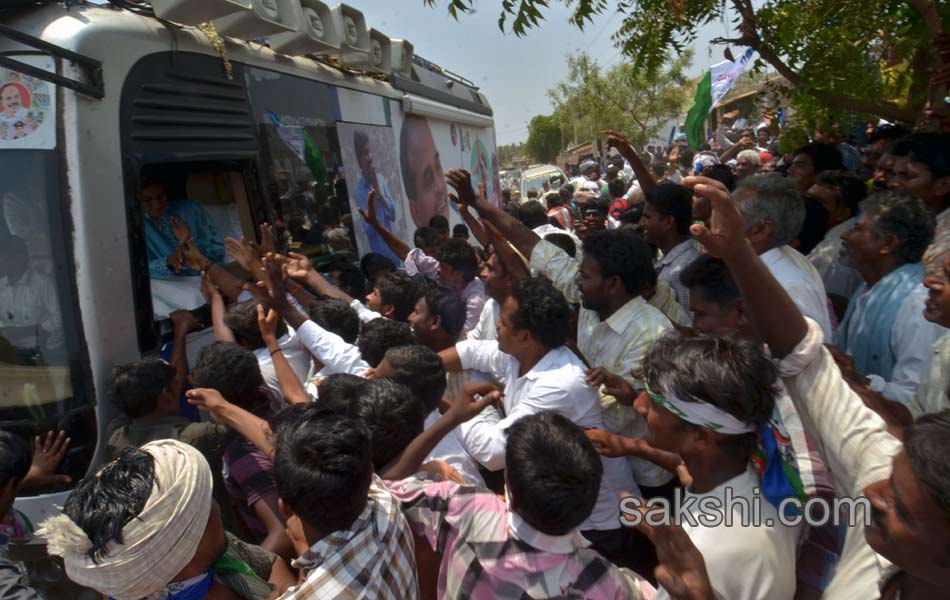 YCP election campaign meeting - Sakshi16