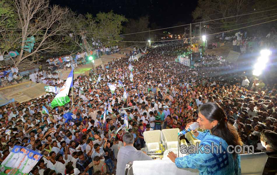 YCP election campaign meeting - Sakshi23