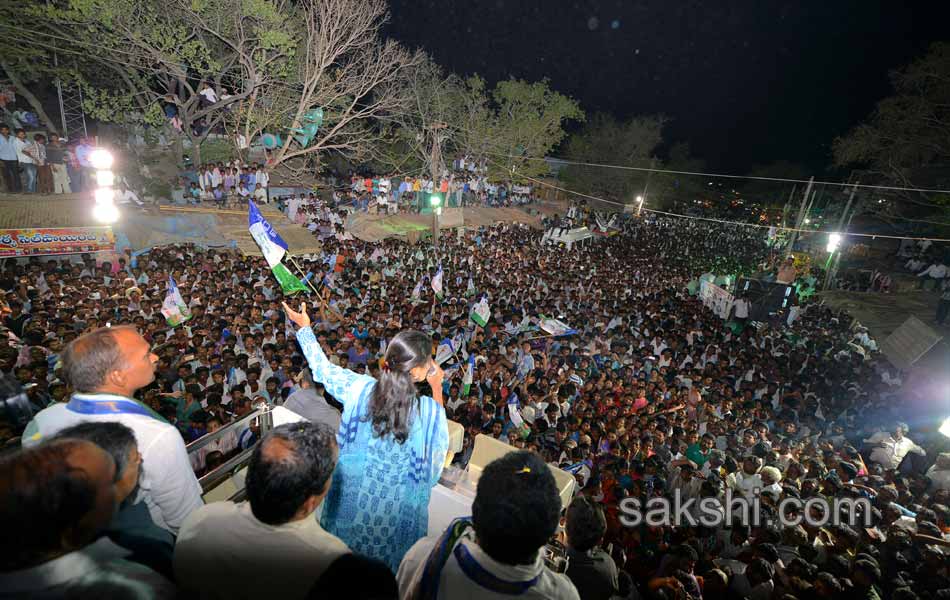 YCP election campaign meeting - Sakshi25