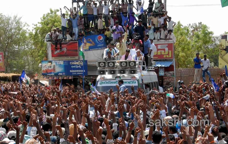 YSRCP Party leaders election campaign Meetings - Sakshi8