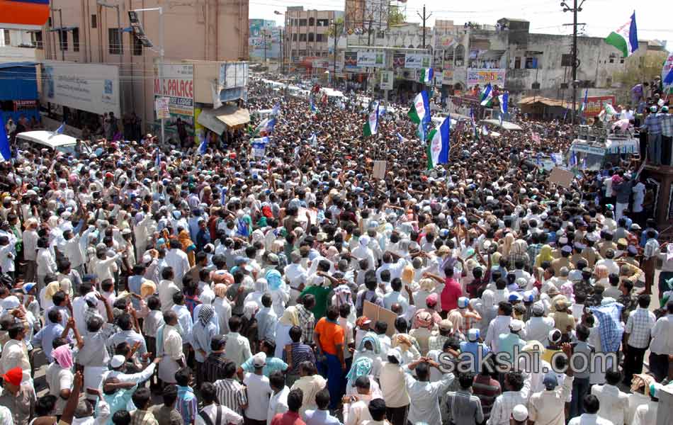 YSRCP Party leaders election campaign Meetings - Sakshi22