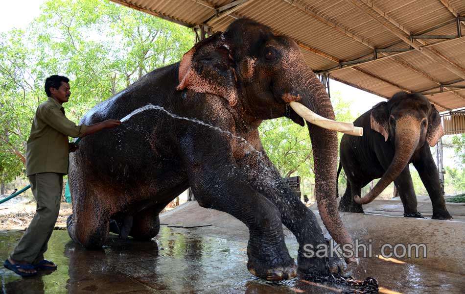 The park is the second largest zoo in Asia6