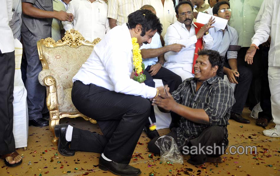 54th birthday celebrations of balayya - Sakshi20