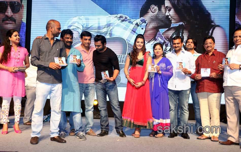 Nee Jathaga Nenundali Audio Launch - Sakshi4