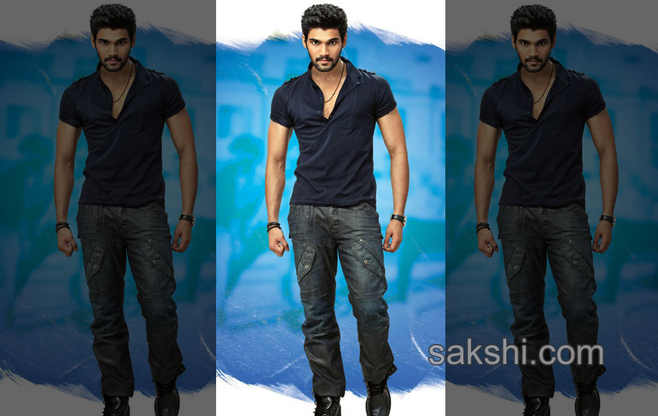 alludu seenu movie new stills - Sakshi2