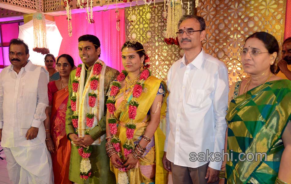 Grandmaster Koneru Humpy Wedding11