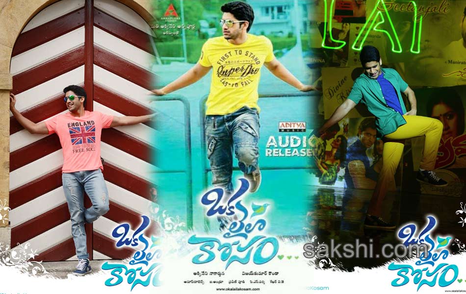 Oka Laila Kosam Movie Posters19