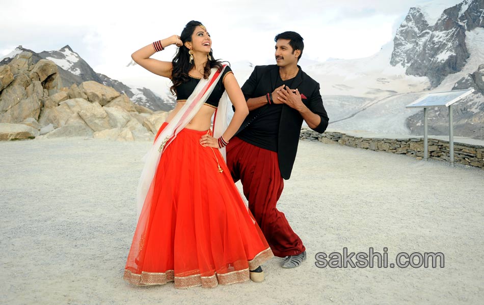 Loukyam Movie New Stills14