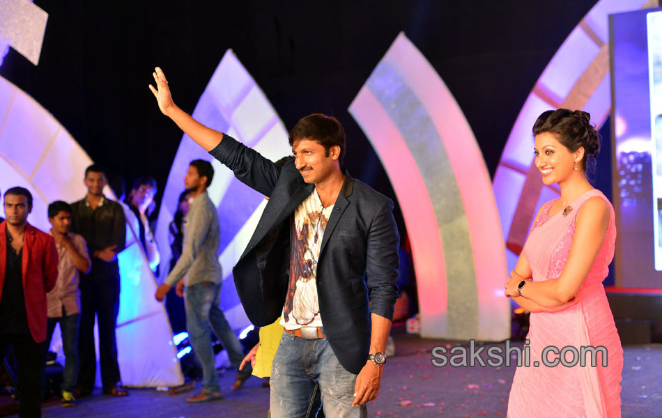 Loukyam Movie Audio Launch - Sakshi8