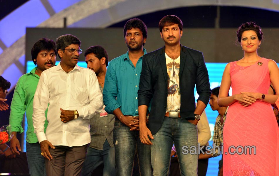 Loukyam Movie Audio Launch - Sakshi14