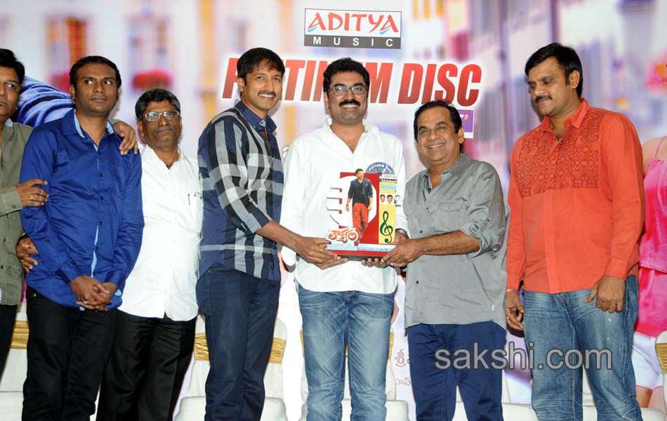 Loukyam Platinum disc function7