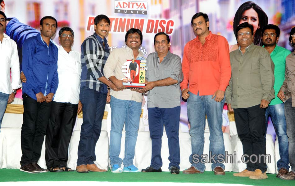 Loukyam Platinum disc function9