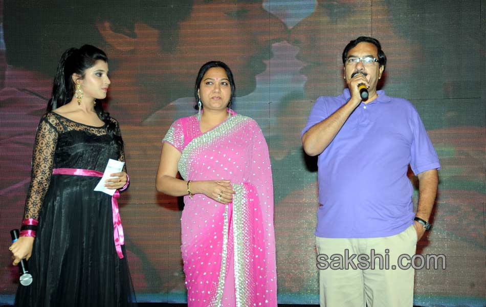 Joru Movie Audio Launch - Sakshi16