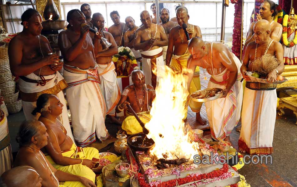 pushpa yagam at tirumala11