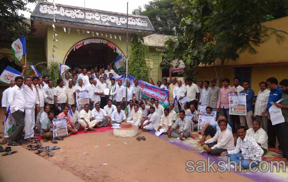 YSRCP porubata in andhra pradesh statewide - Sakshi12