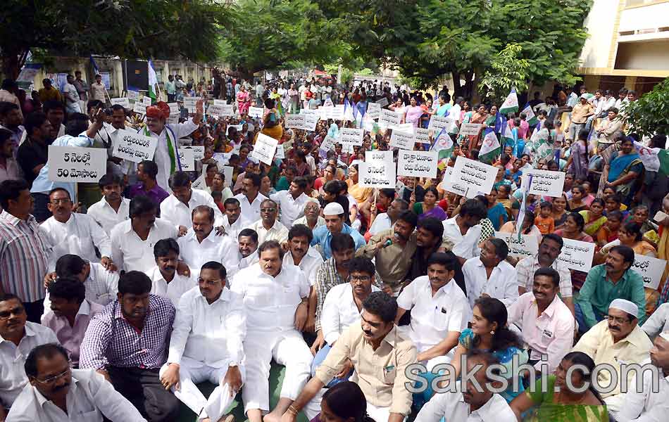 YSRCP porubata in andhra pradesh statewide - Sakshi12