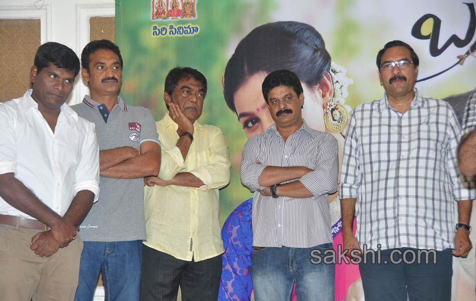 Brother Of Bommali Success Meet10