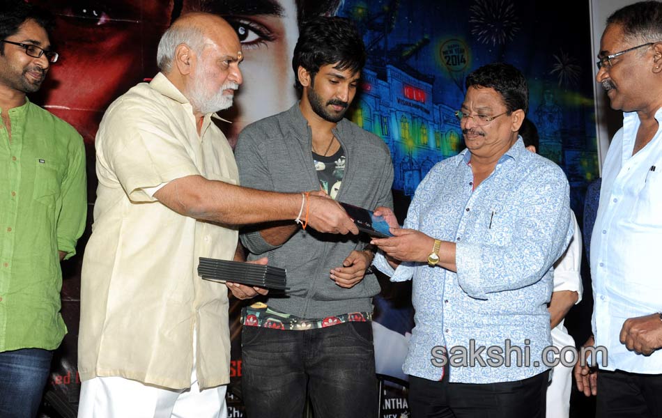 Malupu trailer and First look launch - Sakshi4