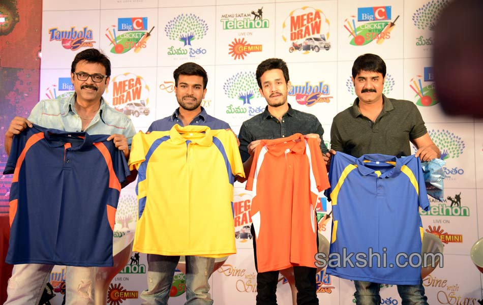 Cricket With Stars Celebrities to be Auctioned for Tournamen5