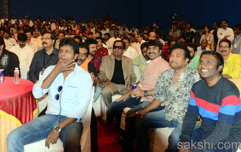 memu saitam celebrations2