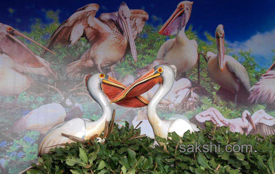 flamingo festival in Nellore district10