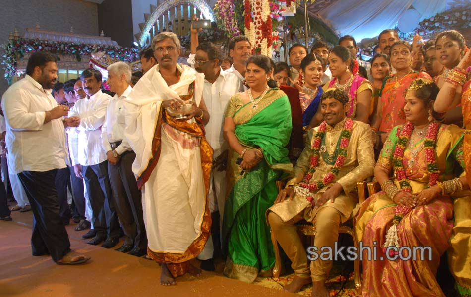 Kotam Reddy Sridhar Reddy daughter marriage - Sakshi6