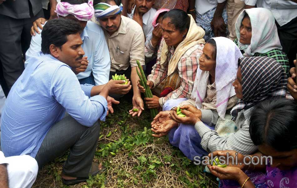 ys jagan mohan reddy visit in andrapradesh capital villages - Sakshi4