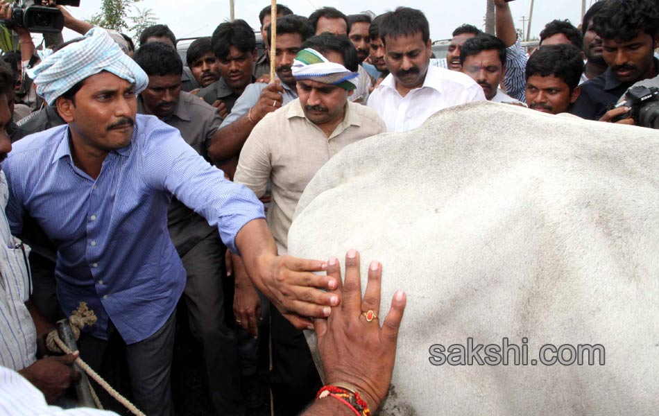 ys jagan mohan reddy visit in andrapradesh capital villages - Sakshi12