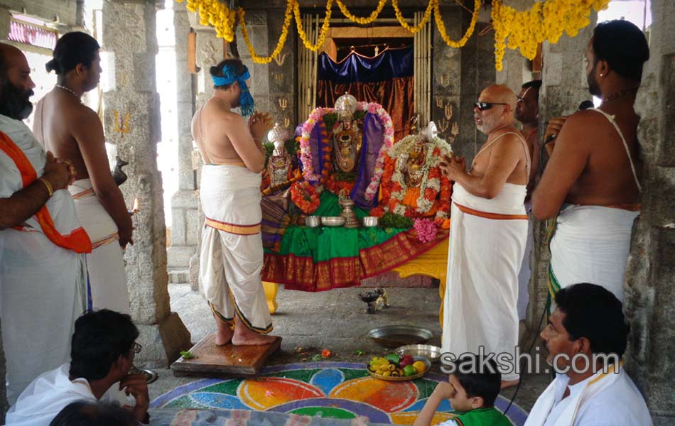 celebrations of srirama navami in telugu states17