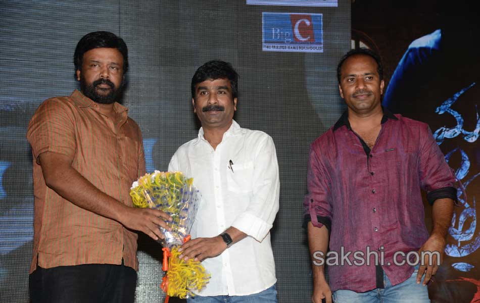 mantra 2 Audio released - Sakshi3