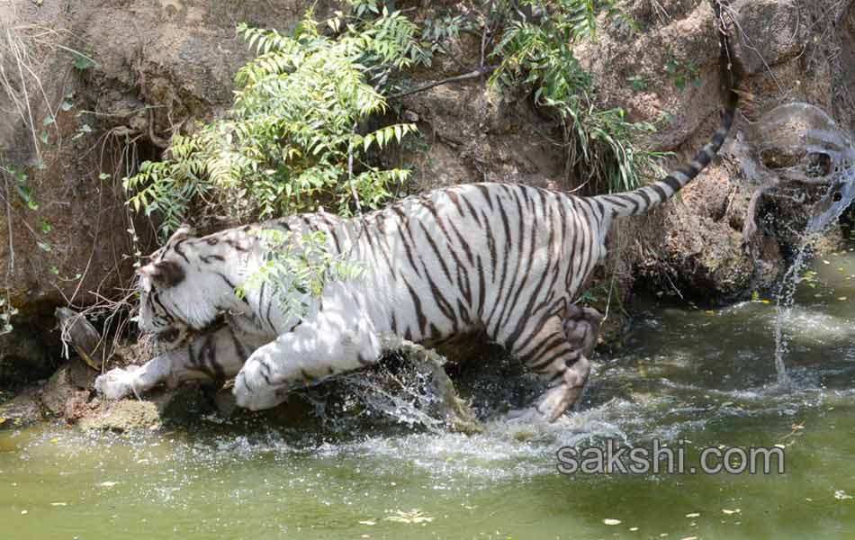 hot summer in hyderabad city25